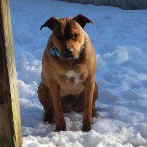 Meet your Posher, Jack